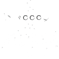 marchio-acqua-fritta